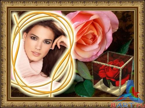 ��������� - ���������� ����