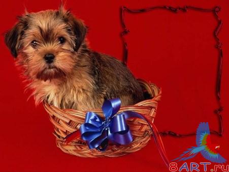 ����� �� ���� �3 � ����� �������� �������