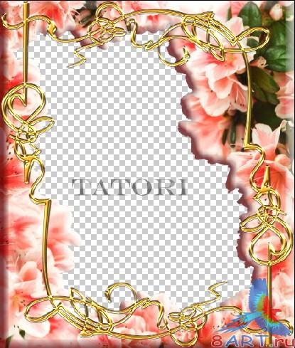 ����� � ����� ���� �������-��������