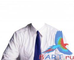 Male Shirt.         PSD