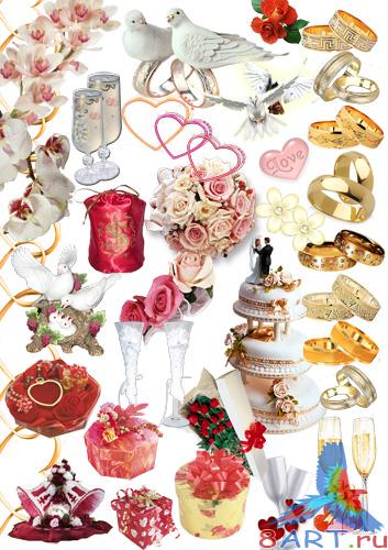 ������� ��������