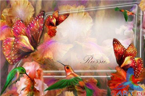 ��������� - �������