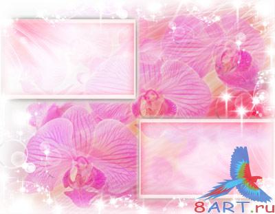 ������������� ������ (�.13)