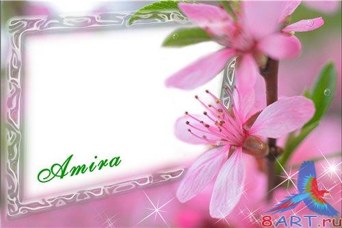 ������� ���� Photoshop - ���������