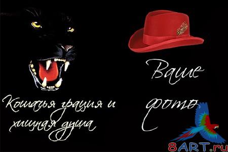 PSD исходник равно рамка в видах фотографии - Кошачья грация PSD исходник равно рамка в видах фотографии - Кошачья грация