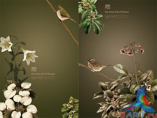 ����� � ������� PSD