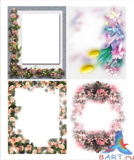 ����������� ����� � �������  PSD