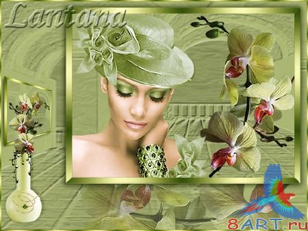 ����� � ����� ���� - ���������� �������