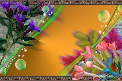 PSD �������� - ��������� ����