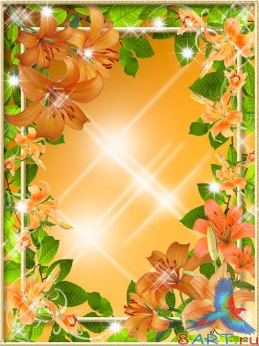 ����� � ��������� ���� - ����� ������ ���������� ������