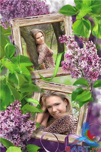 ����� � ��������� ����: ��������� ���