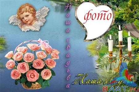 ������� ��� DVD - ���� �������