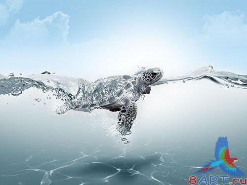 PSD Template - Turtle Underwater