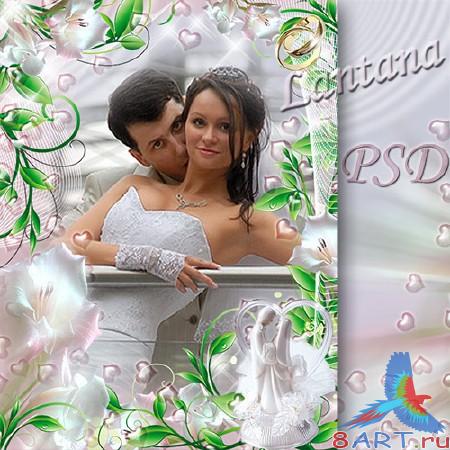 ����� � ��������� ���� - ���������� ������