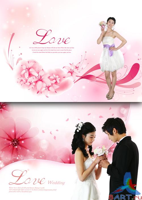 Sources - The wedding day