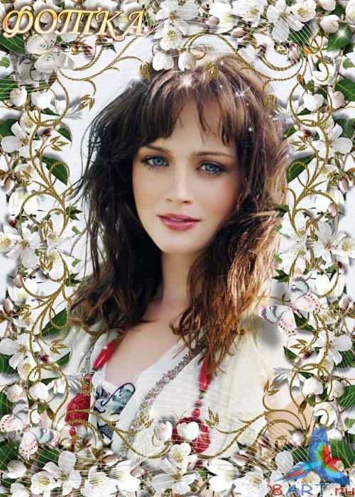 ��������� ����������� - �������� ��������