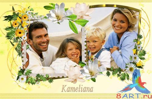 ������� � ��������� ���������� ���� - ����� ����