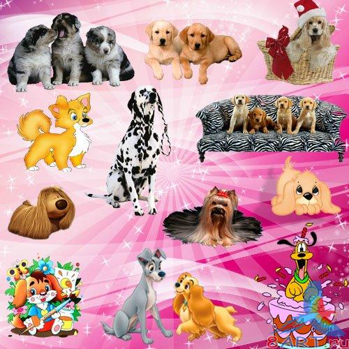 ������� - �������