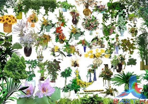 ����� ����� �������