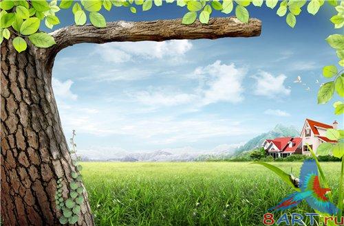 PSD - Big Tree near the houses PSD - Big Tree near the houses