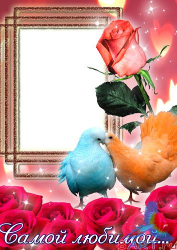 ����� � ����� ���� - ����� �������