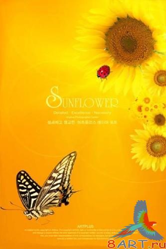 PSD Template "Sunflower" PSD Template "Sunflower"