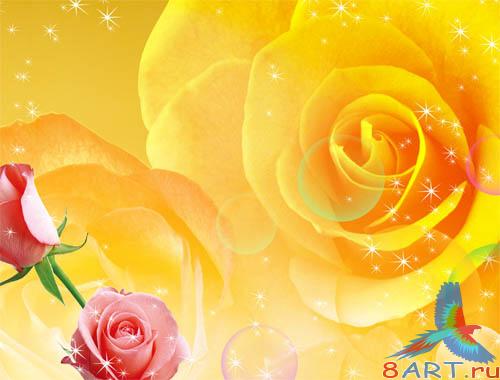 PSD - Orange Rose Template