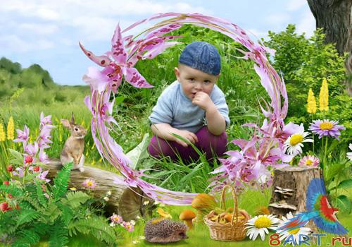 PSD frame - In harmony with nature