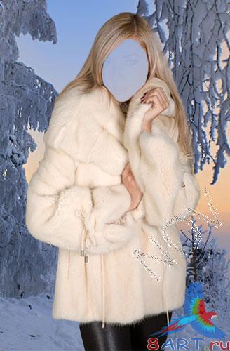 ������ � ��������� ������� -������ �����