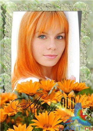 ����� � ����� ���� �������� �  ������ ����