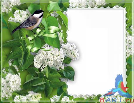 ��������a � ����� ������� - ����� ������