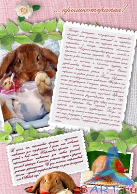 ������ � ������� CoolDarina