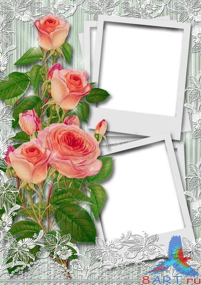 ���� �� ������ (����� PNG)