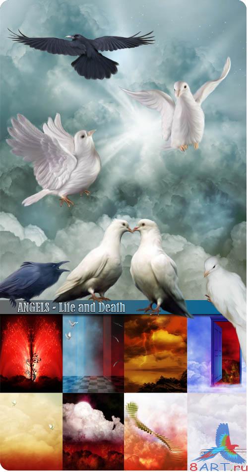 ANGELS - Life and Death