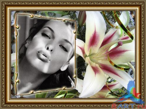 ��������� - ������� ����� ������