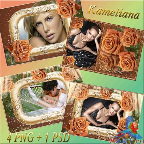 ��������� ������ ����� - ����������� " �������� �������� ����"