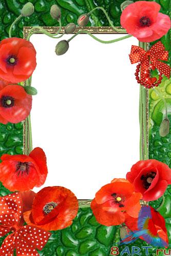 �������� ����