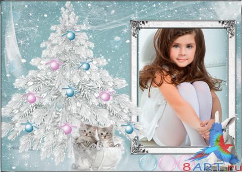 ����� ���� ���� ������ ������