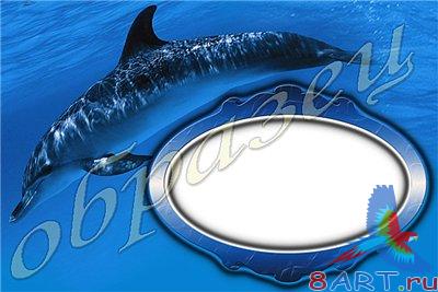 ����� ����� ���� - "�������"