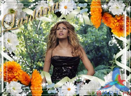 ����� � ������ ���� �������� - ��������� �������