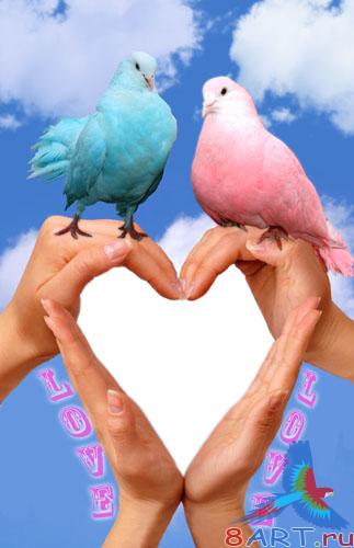 ����� ����� ���� - ������������� ����� ������