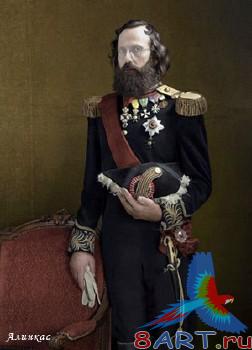 ������ ���� ���� "�������"