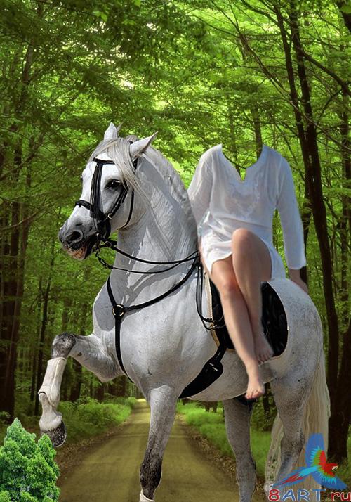 Женский привычка в пользу кого фотошопа - Верные друзья Женский привычка на фотошопа - Верные друзья