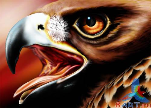 PSD - Eagle Template