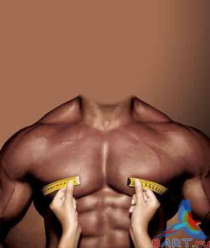 ������ - �������� �����