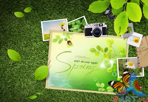 Sources - Spring pictures