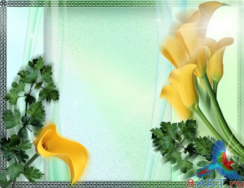 ������������� PSD ��������