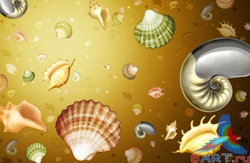 Sources - Sea Shells