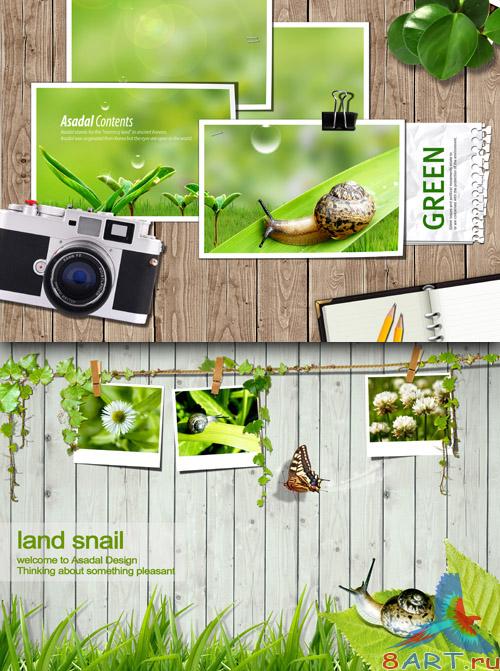 Sources - Photo of Green Nature