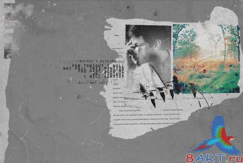 10 PSD Source - Collage Vol.2